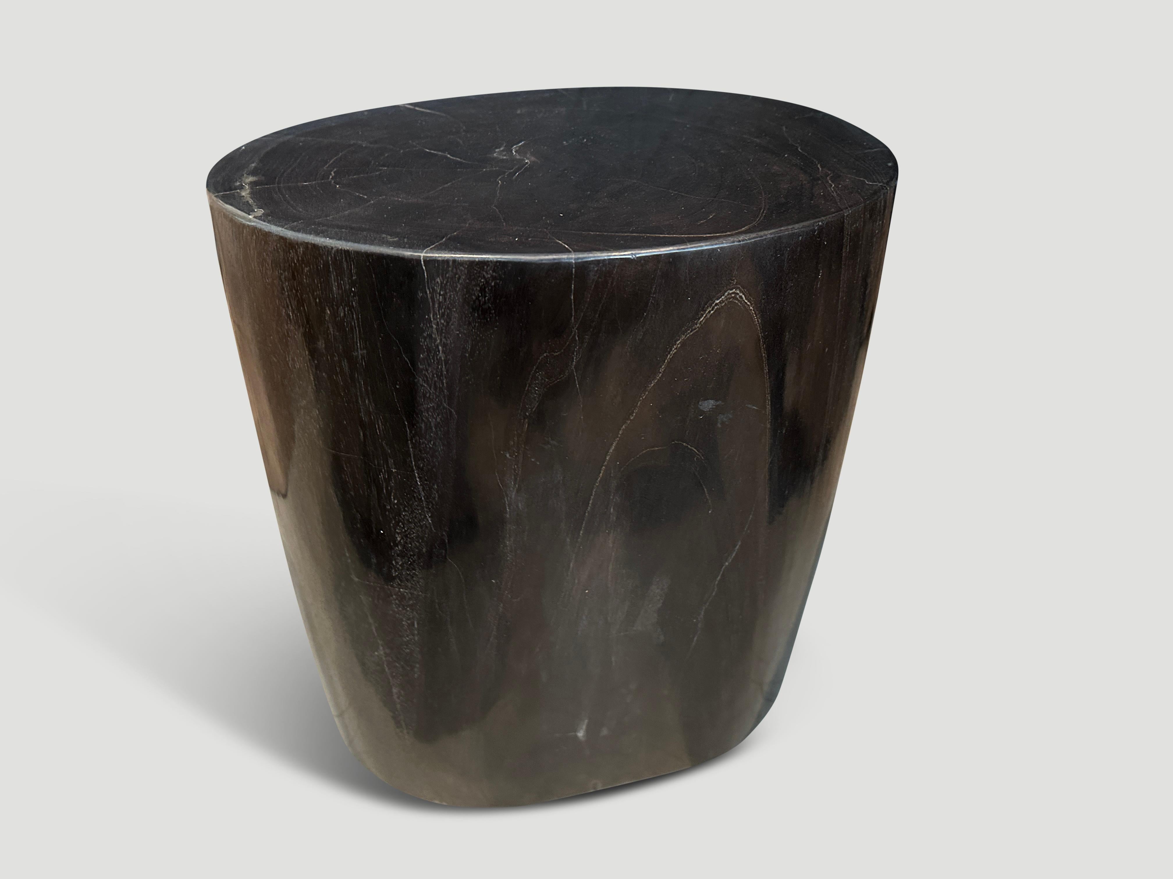 Organic Modern Andrianna Shamaris Super Smooth High Quality Petrified Wood Side Table