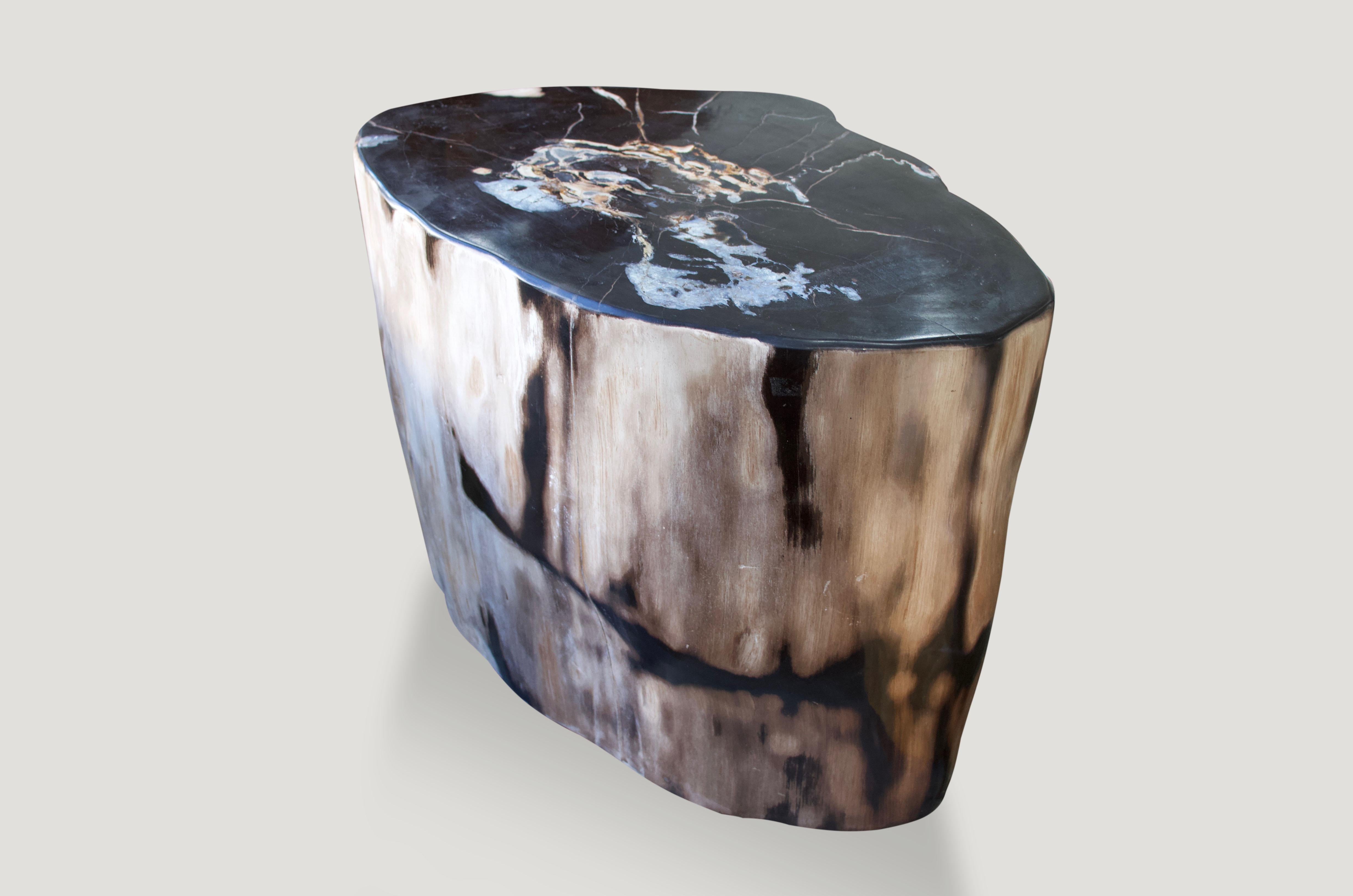 Andrianna Shamaris Super Smooth High Quality Petrified Wood Side Table In Excellent Condition In New York, NY