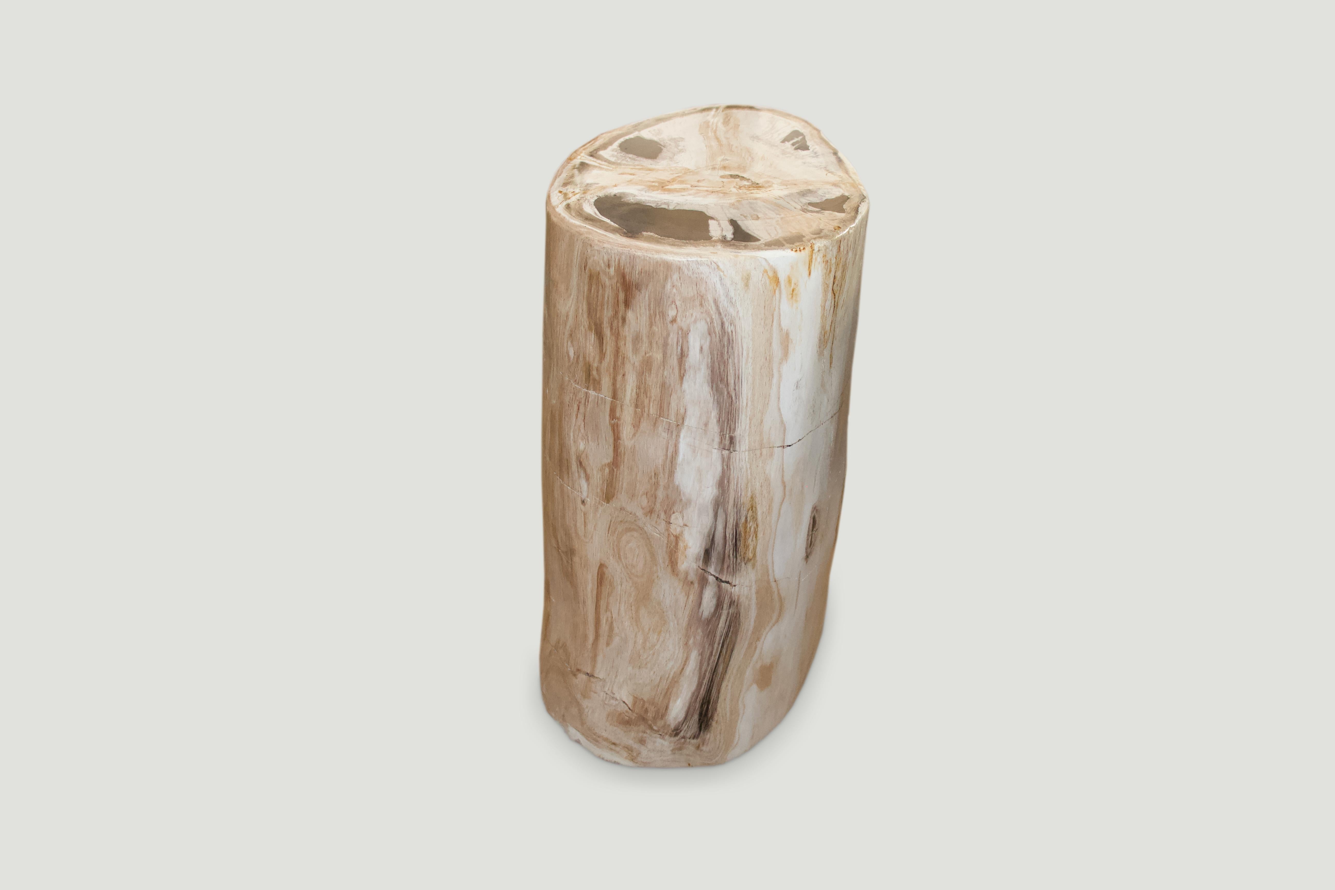 Andrianna Shamaris Super Smooth High Quality Petrified Wood Side Table In Excellent Condition In New York, NY