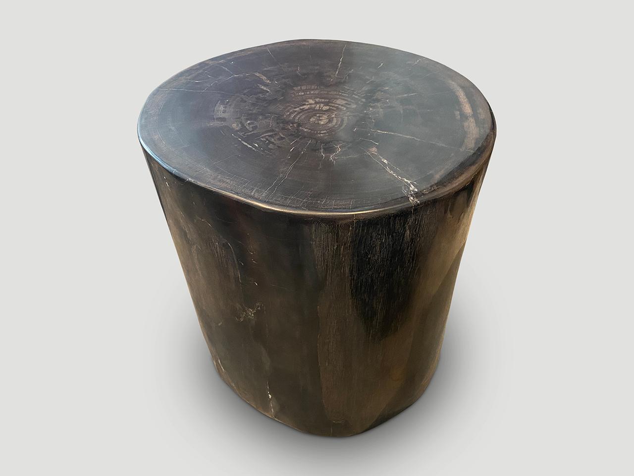 Andrianna Shamaris Super Smooth High Quality Petrified Wood Side Table In Excellent Condition In New York, NY