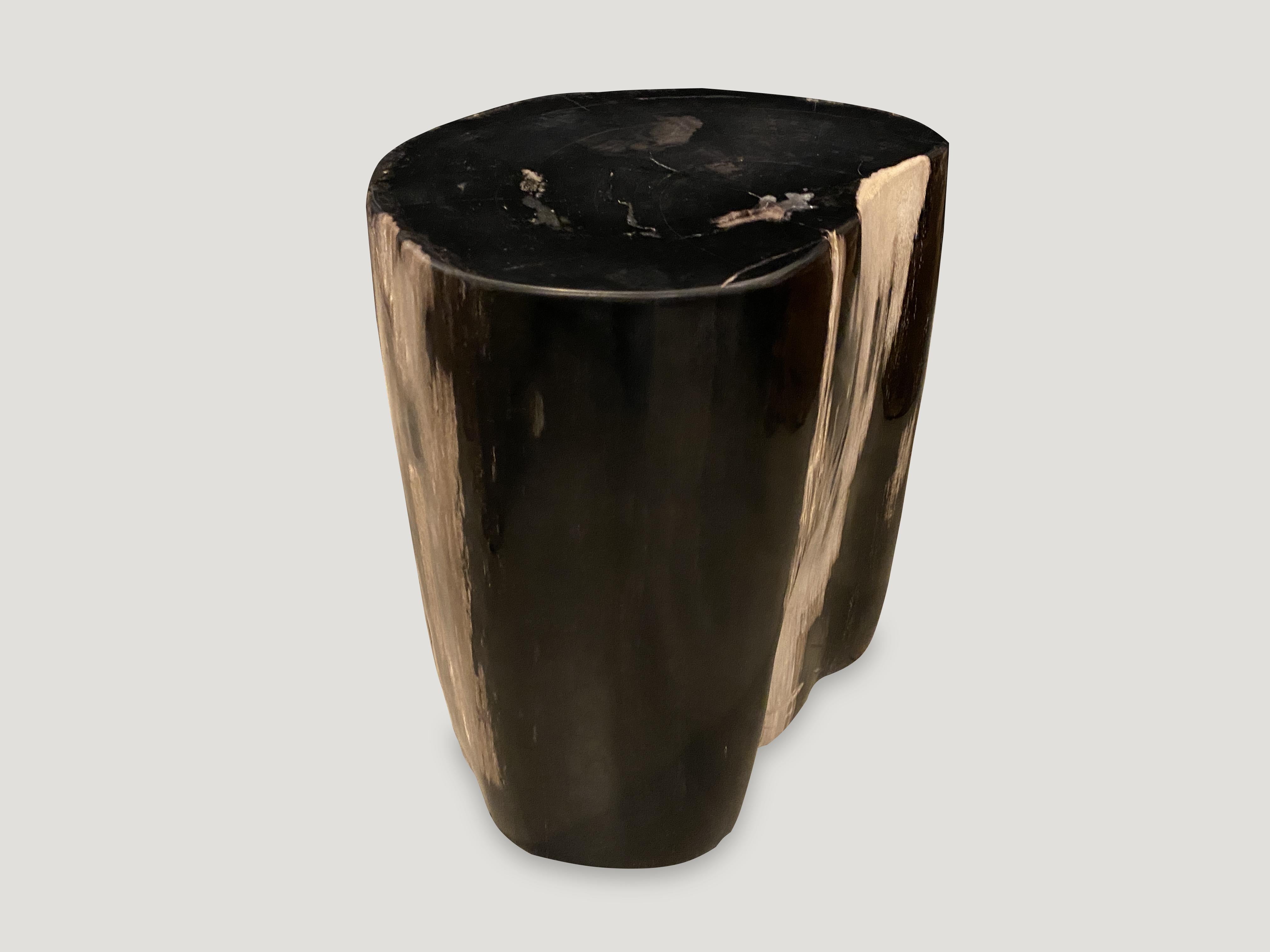 Andrianna Shamaris Super Smooth High Quality Petrified Wood Side Table In Excellent Condition In New York, NY