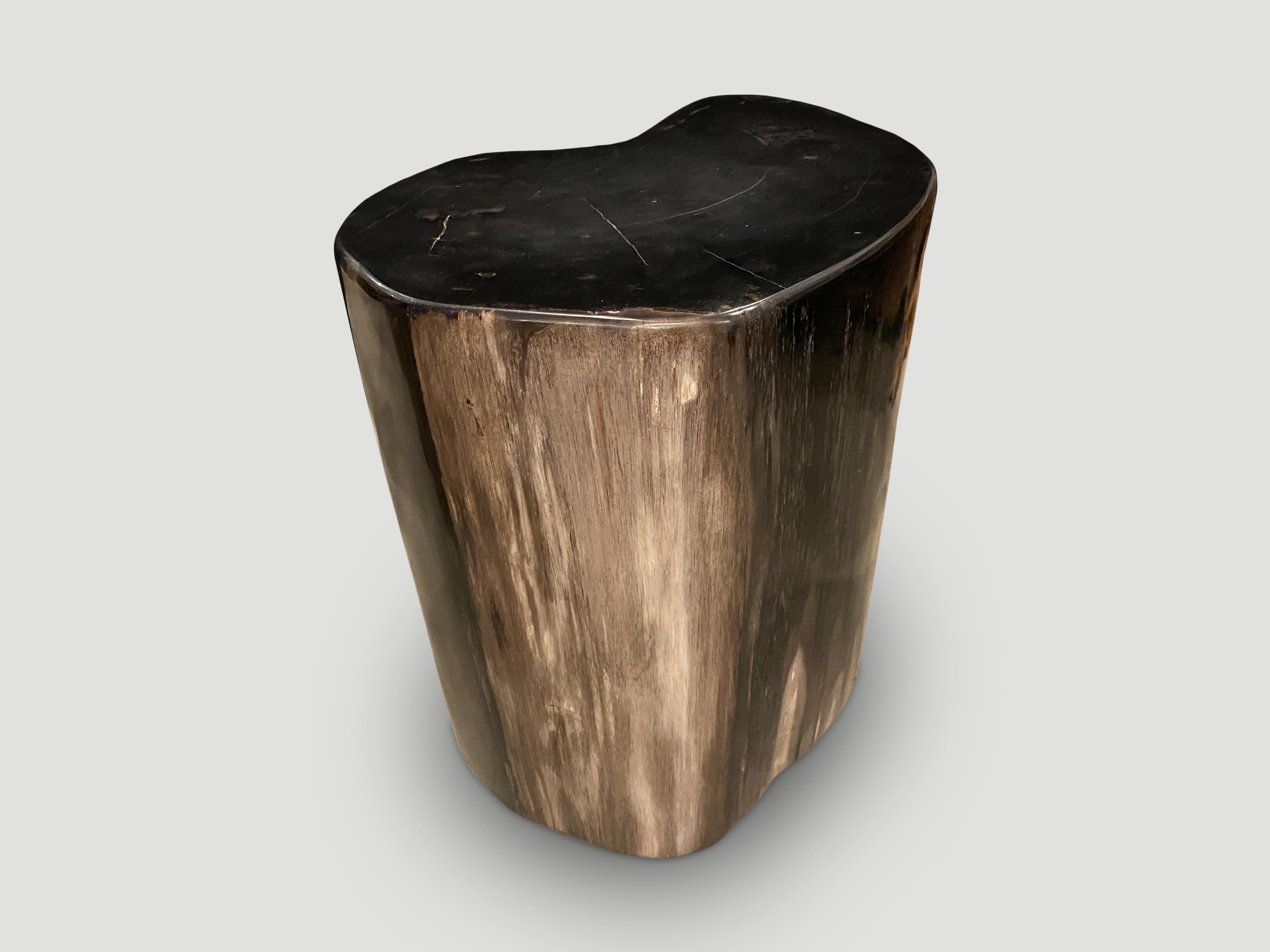 Andrianna Shamaris Super Smooth High Quality Petrified Wood Side Table In Excellent Condition For Sale In New York, NY