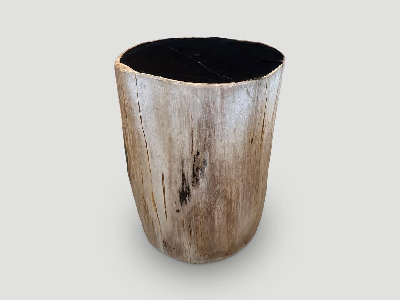 Andrianna Shamaris Super Smooth High Quality Petrified Wood Side Table  In Excellent Condition In New York, NY
