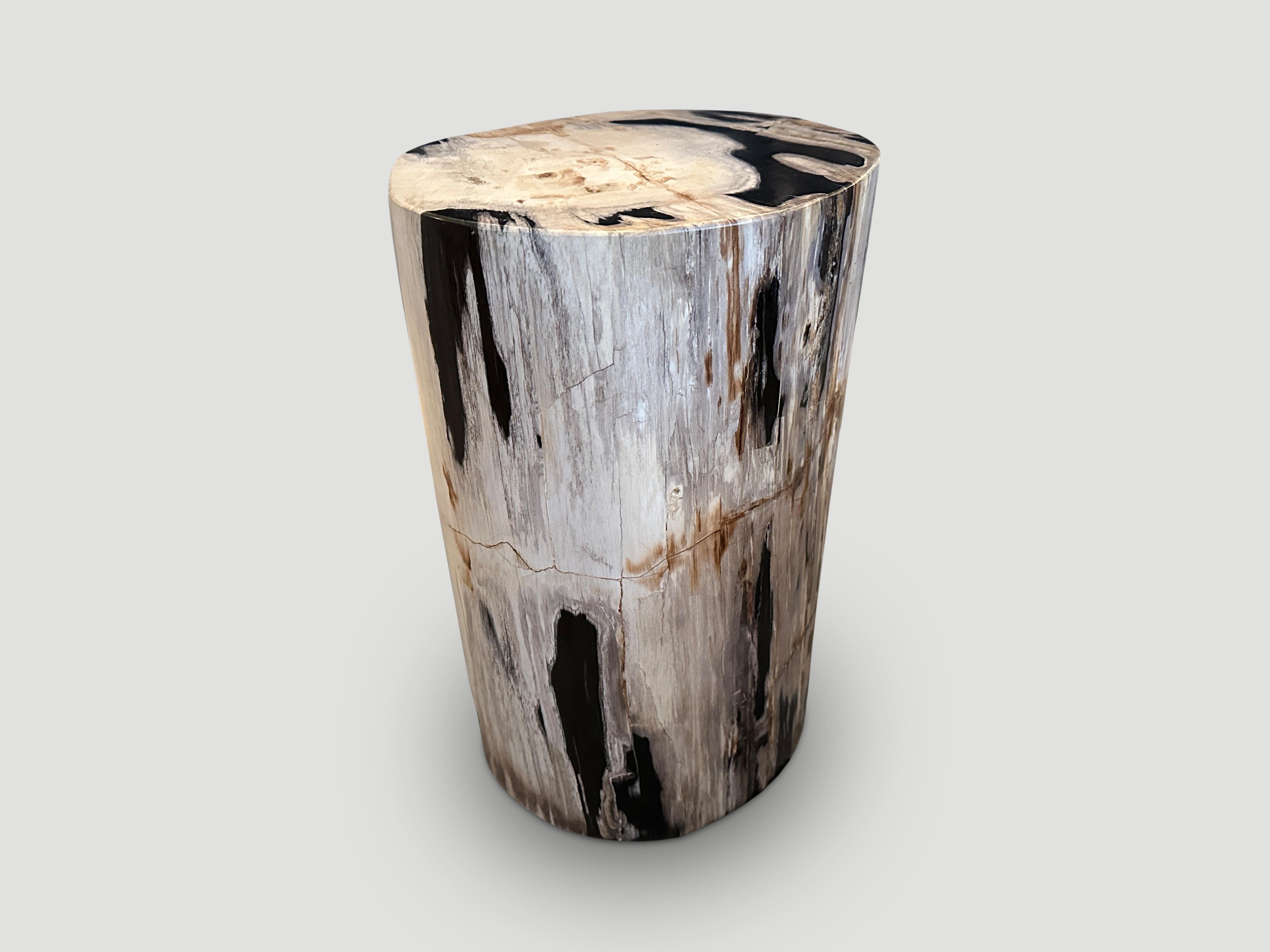 Andrianna Shamaris Super Smooth High Quality Petrified Wood Side Table In Excellent Condition For Sale In New York, NY