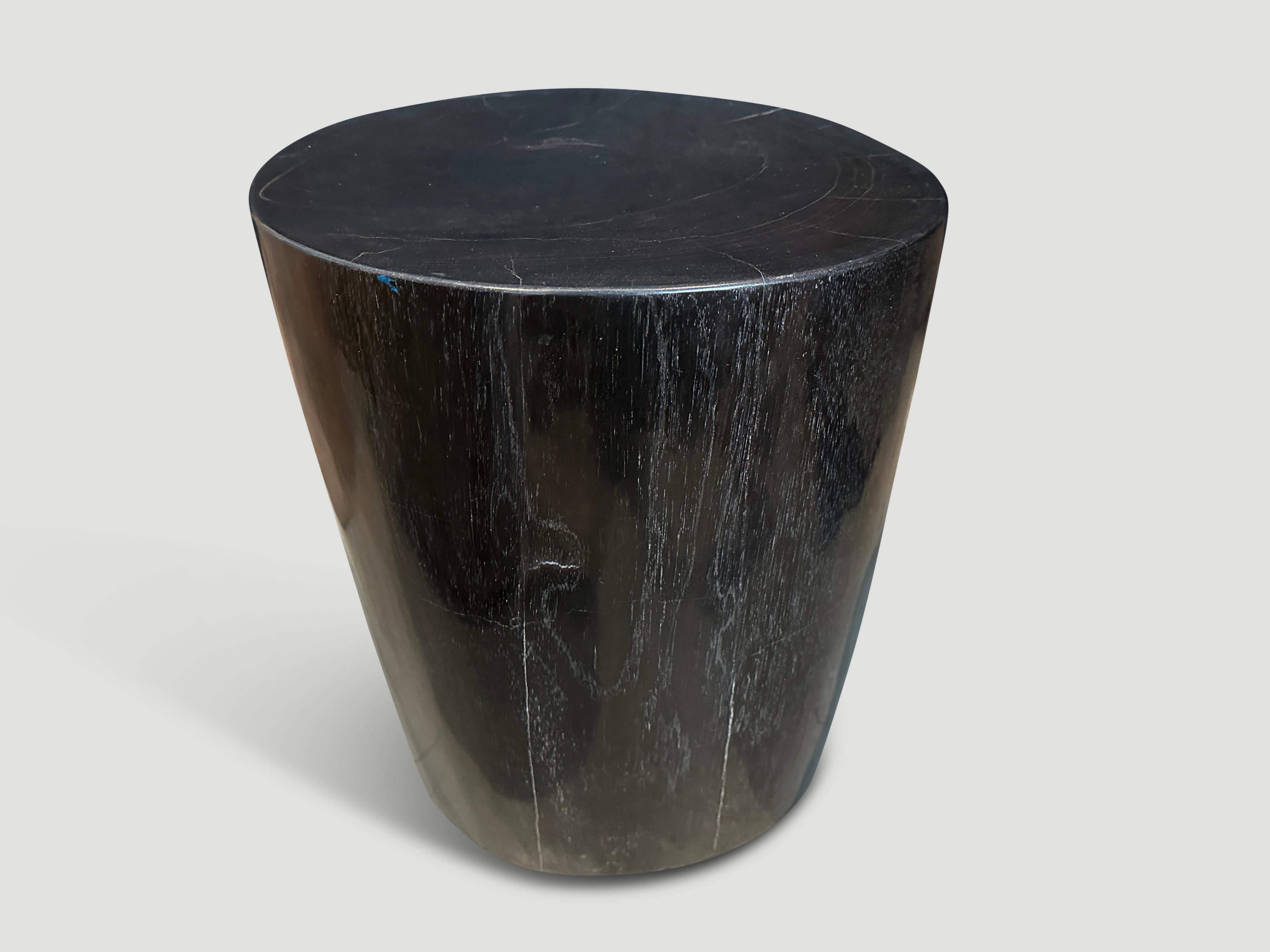 Andrianna Shamaris Super Smooth High Quality Petrified Wood Side Table In Excellent Condition In New York, NY