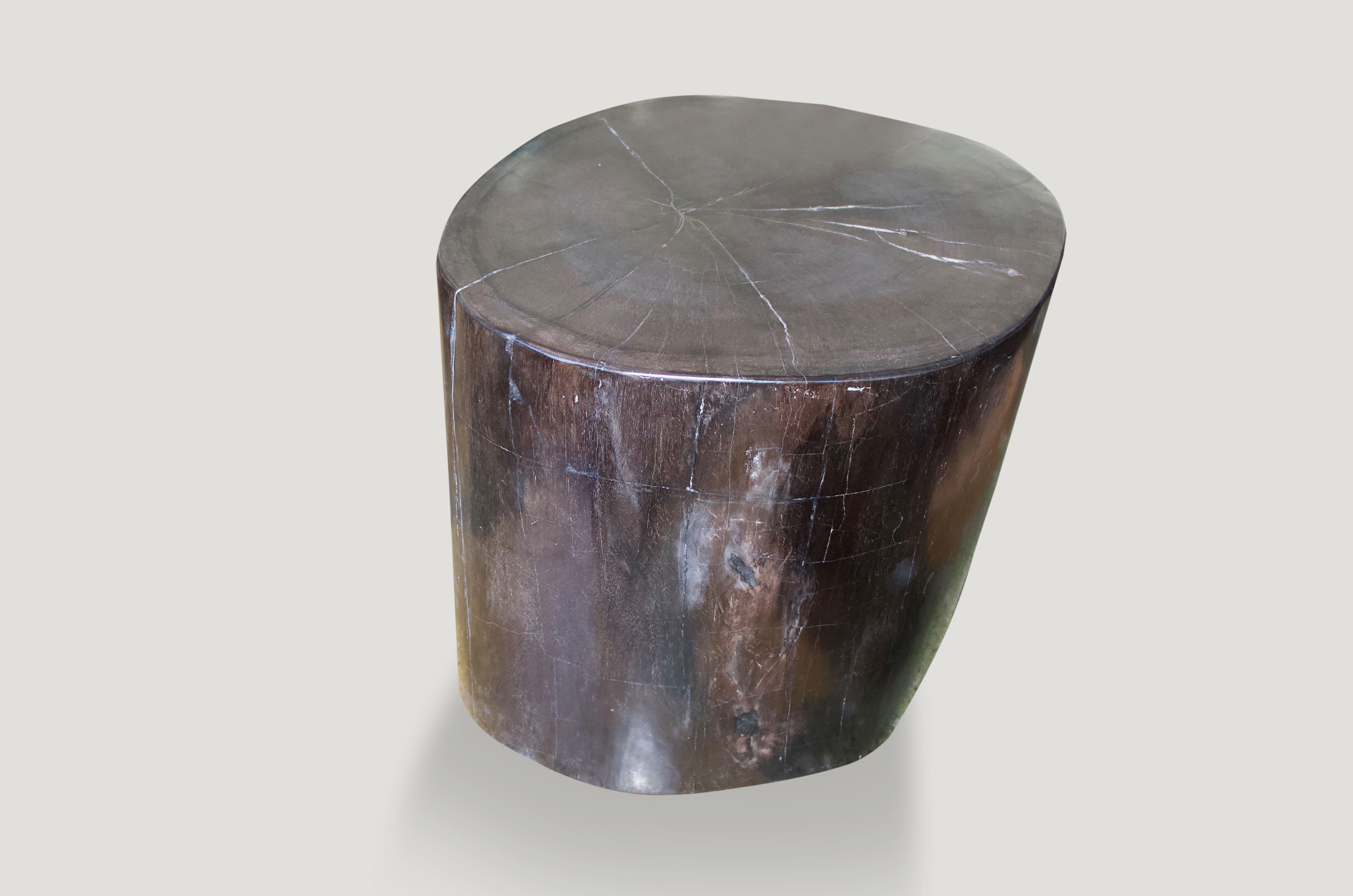 Contemporary Andrianna Shamaris Super Smooth High Quality Petrified Wood Side Table