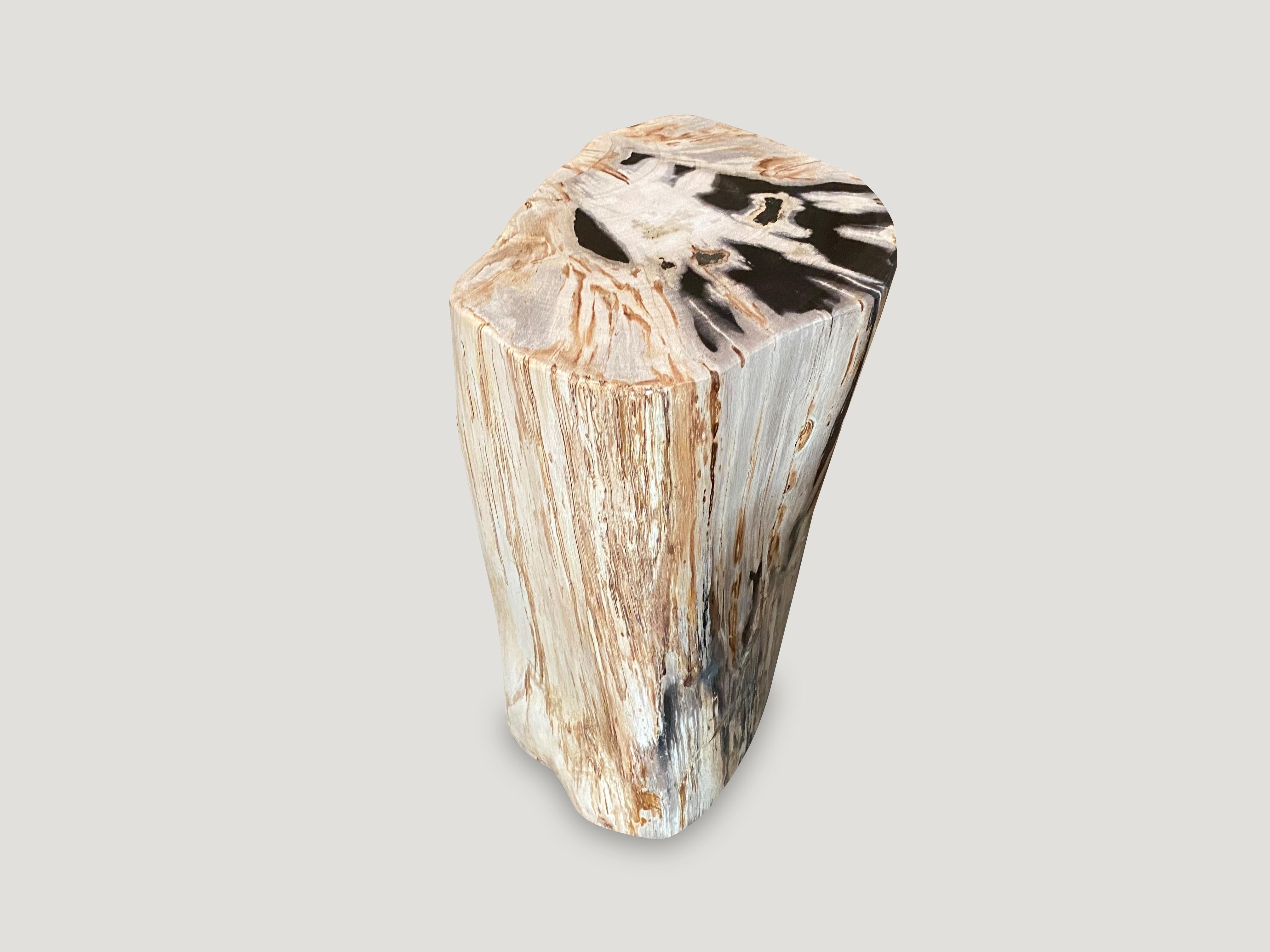 18th Century and Earlier Andrianna Shamaris Super Smooth High Quality Petrified Wood Side Table