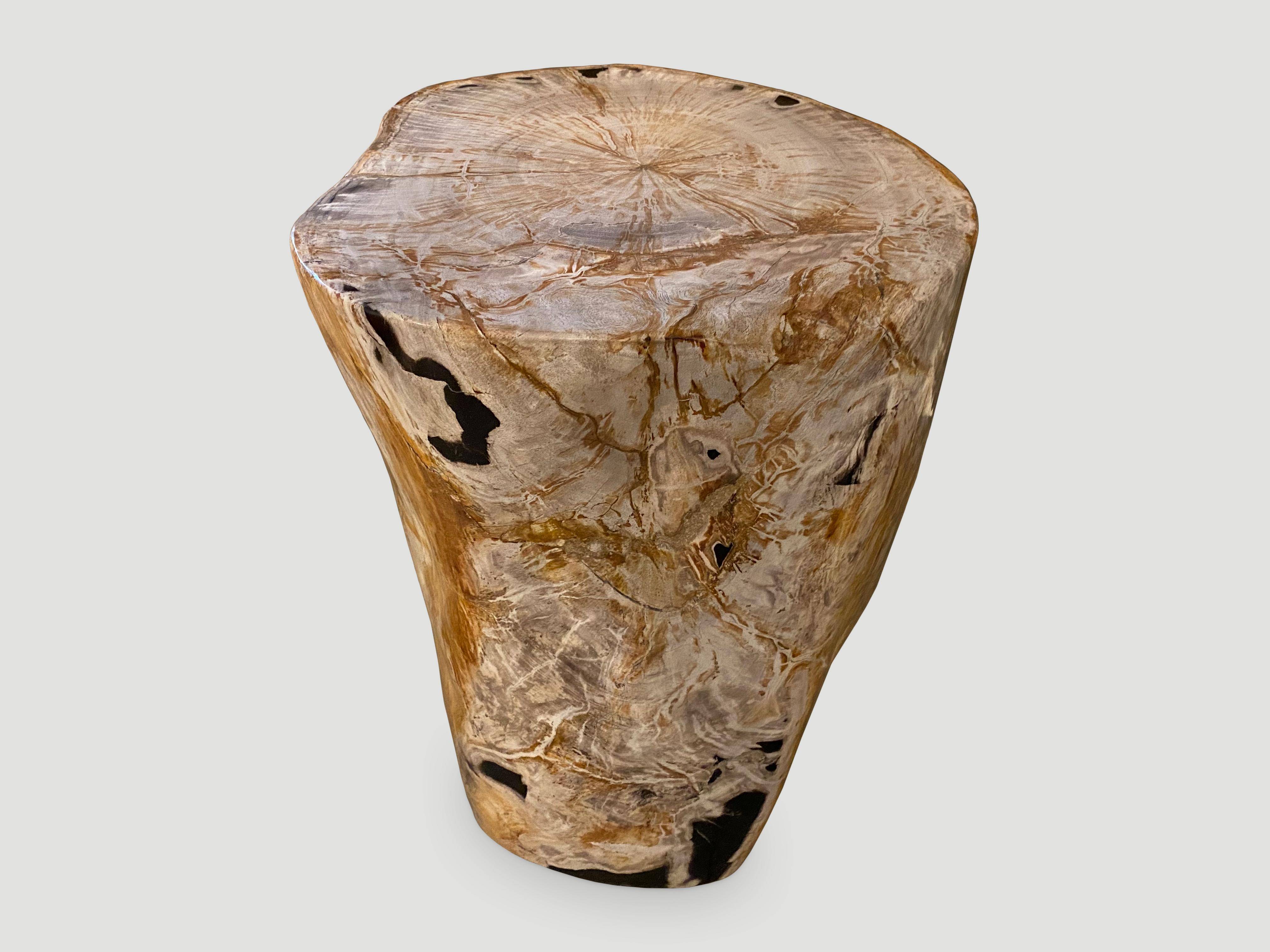 Andrianna Shamaris Super Smooth High Quality Petrified Wood Side Table In Excellent Condition For Sale In New York, NY