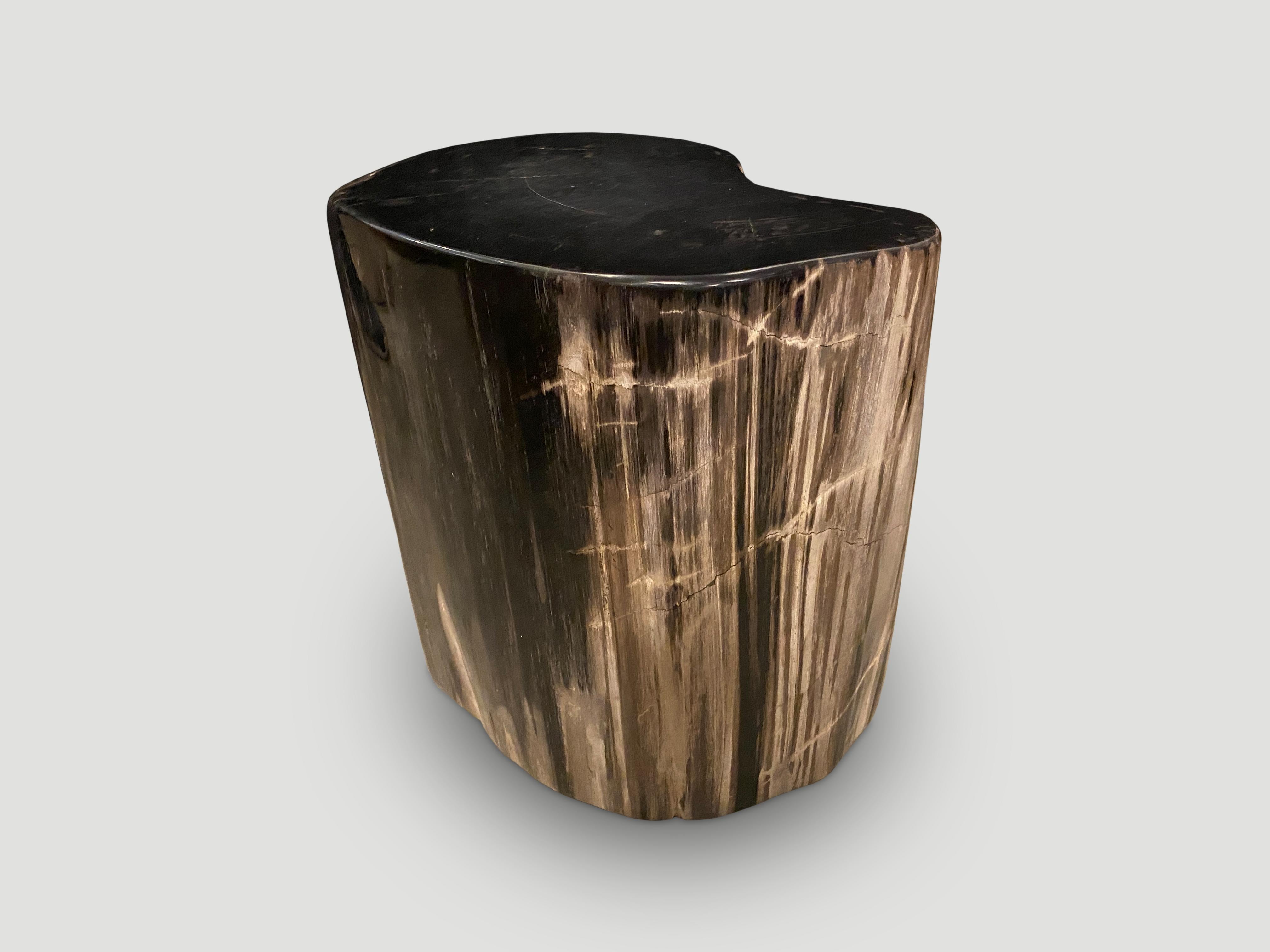 Contemporary Andrianna Shamaris Super Smooth High Quality Petrified Wood Side Table For Sale