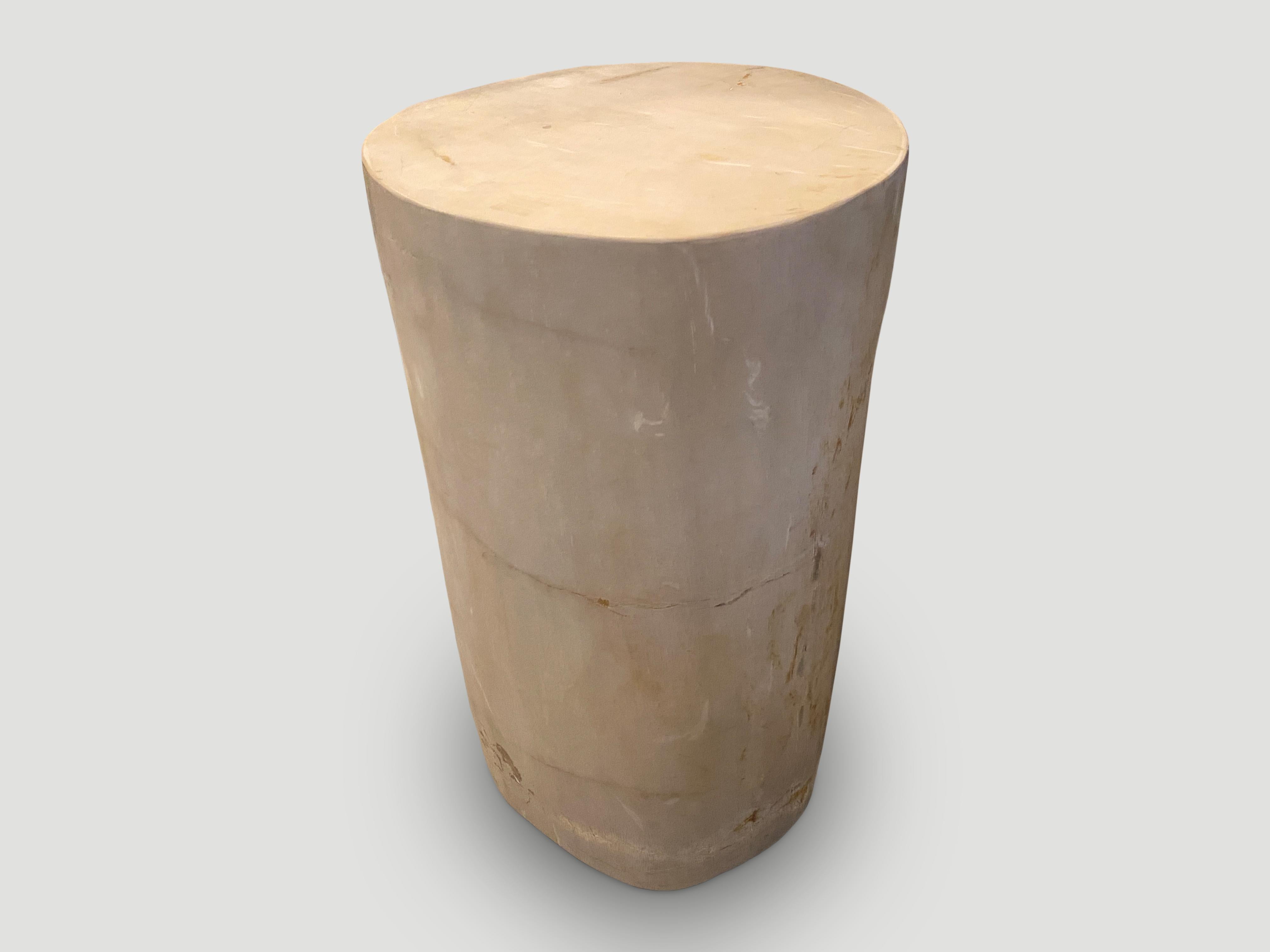 Contemporary Andrianna Shamaris Super Smooth High Quality Petrified Wood Side Table For Sale