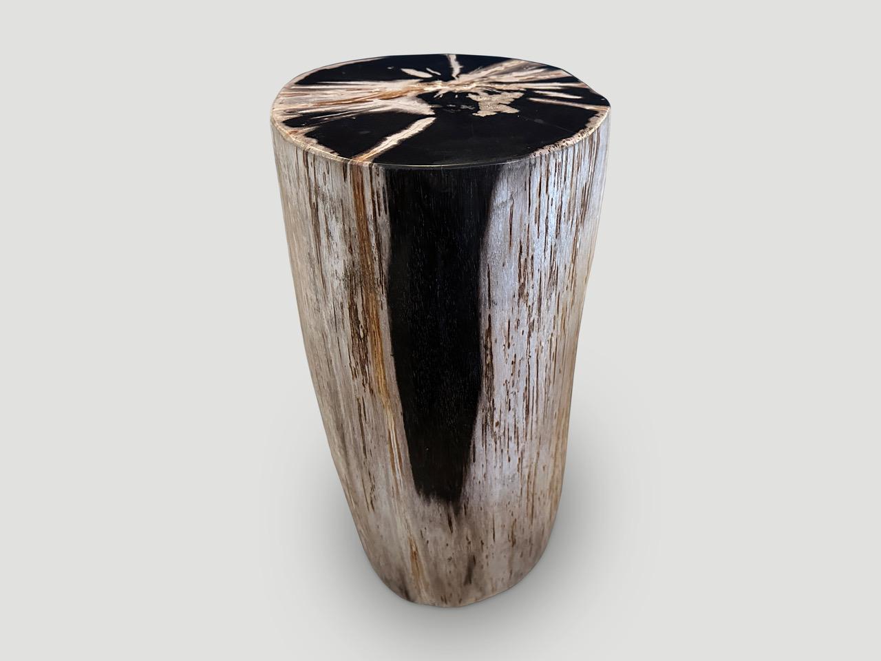 Contemporary Andrianna Shamaris Super Smooth High Quality Petrified Wood Side Table