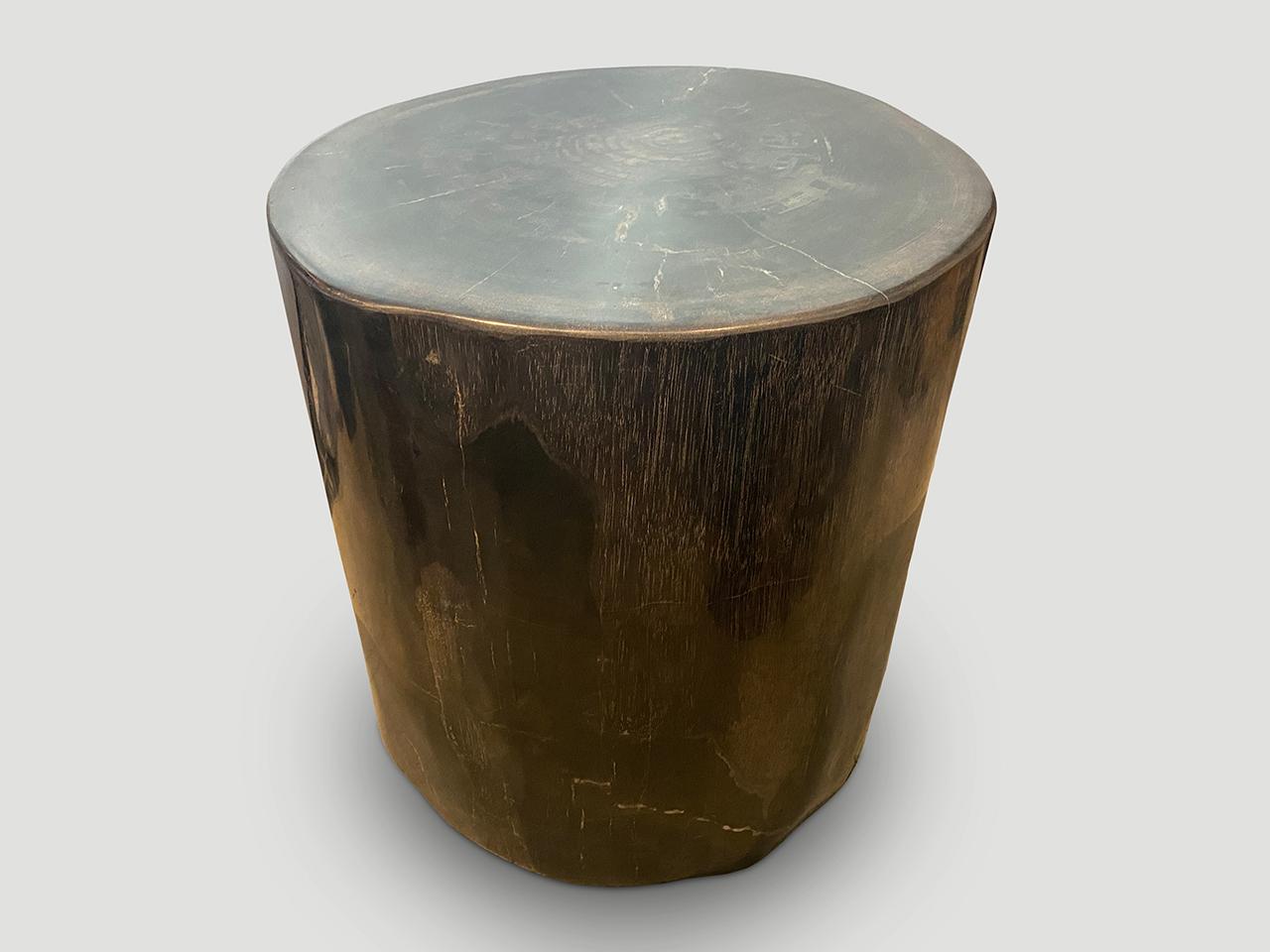 Andrianna Shamaris Super Smooth High Quality Petrified Wood Side Table 1