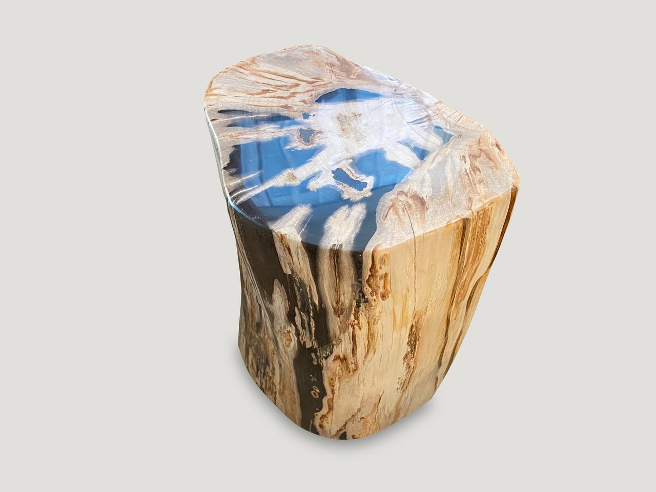 Andrianna Shamaris Super Smooth High Quality Petrified Wood Side Table 3