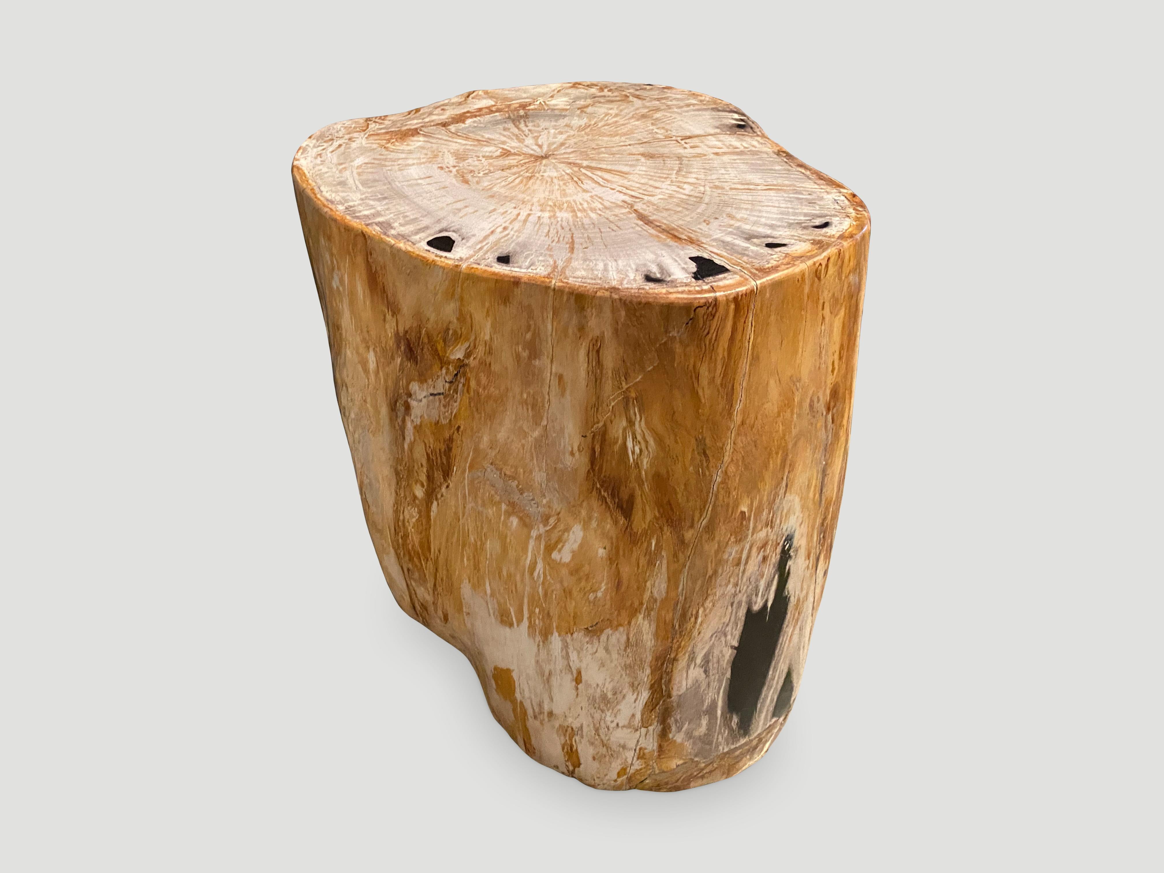 Andrianna Shamaris Super Smooth High Quality Petrified Wood Side Table For Sale 2