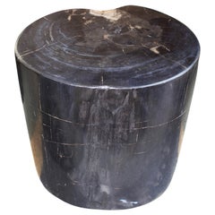 Andrianna Shamaris Super Smooth High Quality Petrified Wood Side Table Antique Andrianna Shamaris Super Smooth High Quality Petrified Wood Side Table