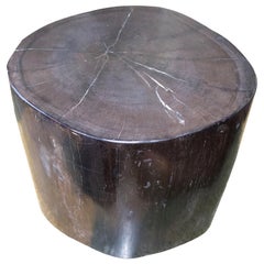 Andrianna Shamaris Super Smooth High Quality Petrified Wood Side Table Andrianna Shamaris Super Smooth High Quality Petrified Wood Side Table