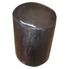 Antique Andrianna Shamaris Super Smooth High Quality Petrified Wood Side Table