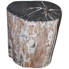 Antique Andrianna Shamaris Super Smooth High Quality Petrified Wood Side Table