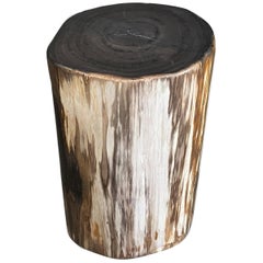 Andrianna Shamaris Super Smooth High Quality Petrified Wood Side Table