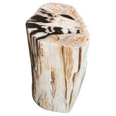 Antique Andrianna Shamaris Super Smooth High Quality Petrified Wood Side Table