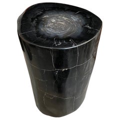 Andrianna Shamaris Super Smooth High Quality Petrified Wood Side Table