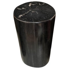 Andrianna Shamaris Super Smooth High Quality Petrified Wood Side Table