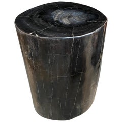 Andrianna Shamaris Super Smooth High Quality Petrified Wood Side Table