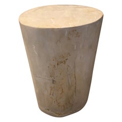 Andrianna Shamaris Super Smooth High Quality Petrified Wood Side Table