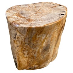 Antique Andrianna Shamaris Super Smooth High Quality Petrified Wood Side Table