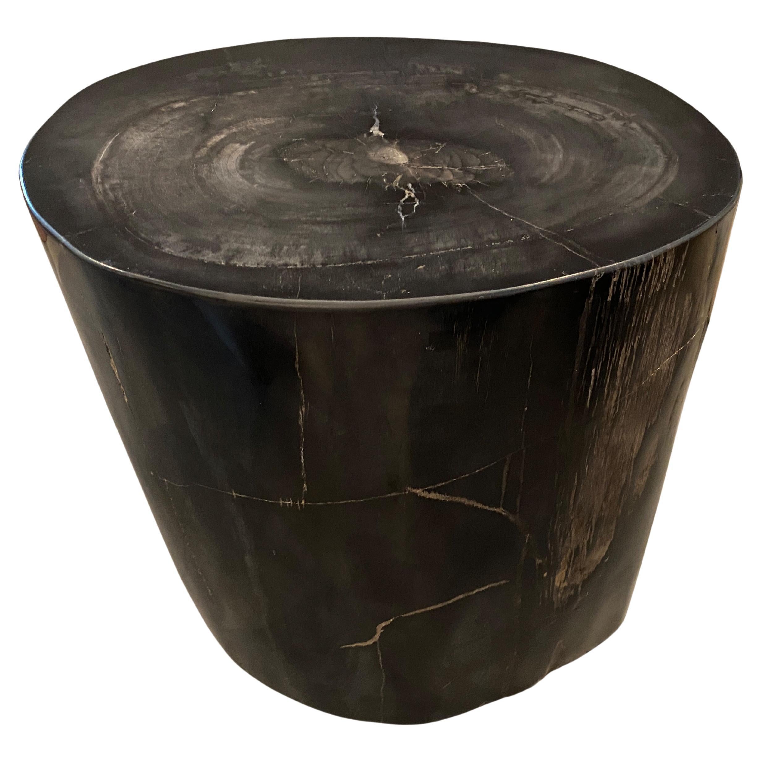 Andrianna Shamaris Super Smooth High Quality Petrified Wood Side Table