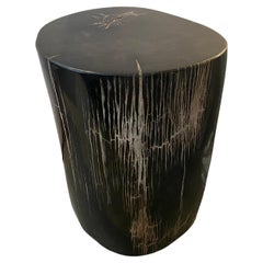 Andrianna Shamaris Super Smooth High Quality Petrified Wood Side Table