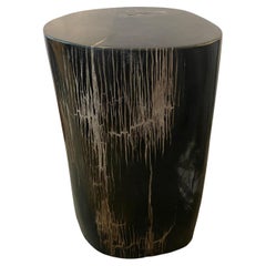 Andrianna Shamaris Super Smooth High Quality Petrified Wood Side Table