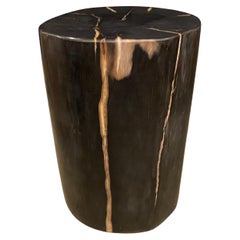 Andrianna Shamaris Super Smooth High Quality Petrified Wood Side Table