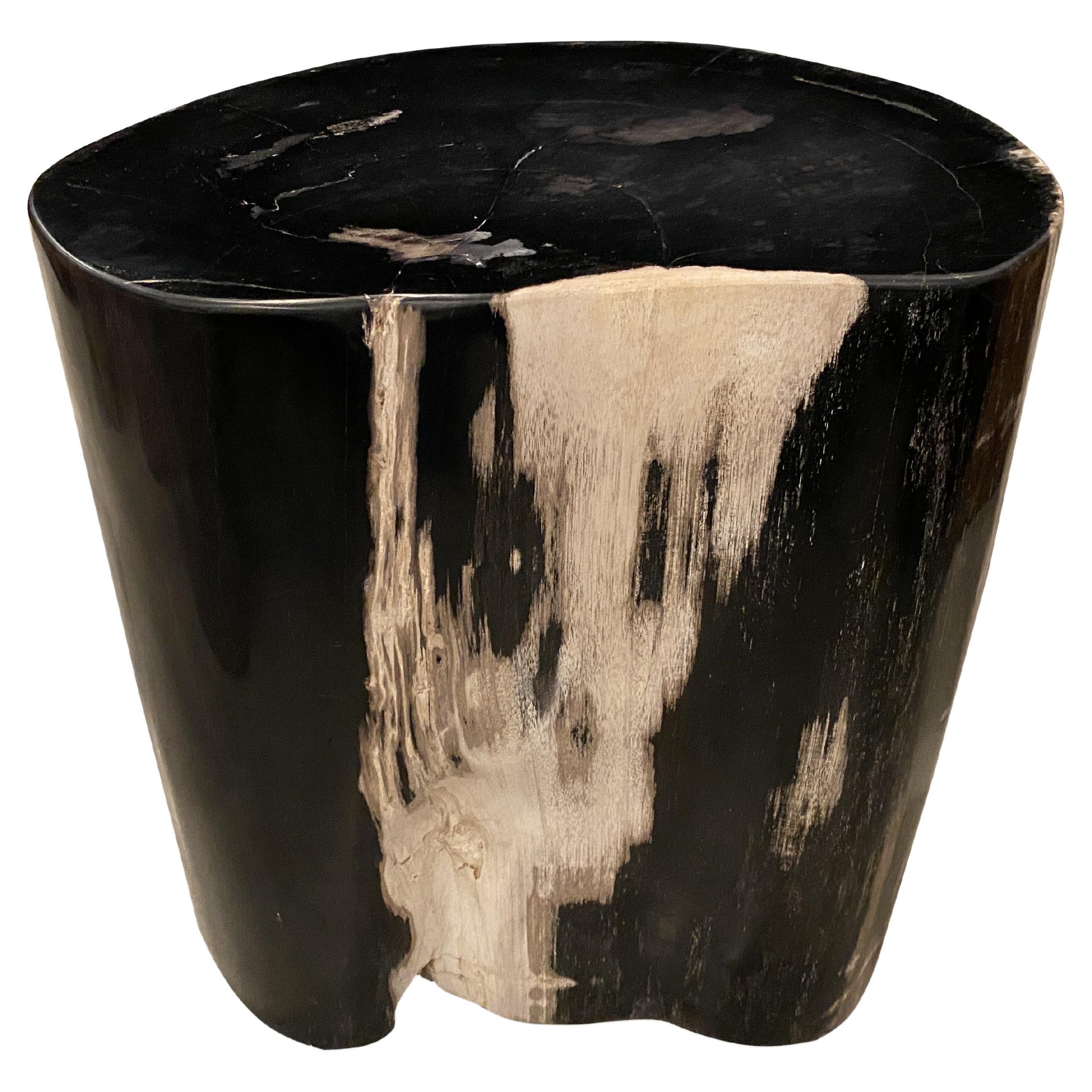 Andrianna Shamaris Super Smooth High Quality Petrified Wood Side Table