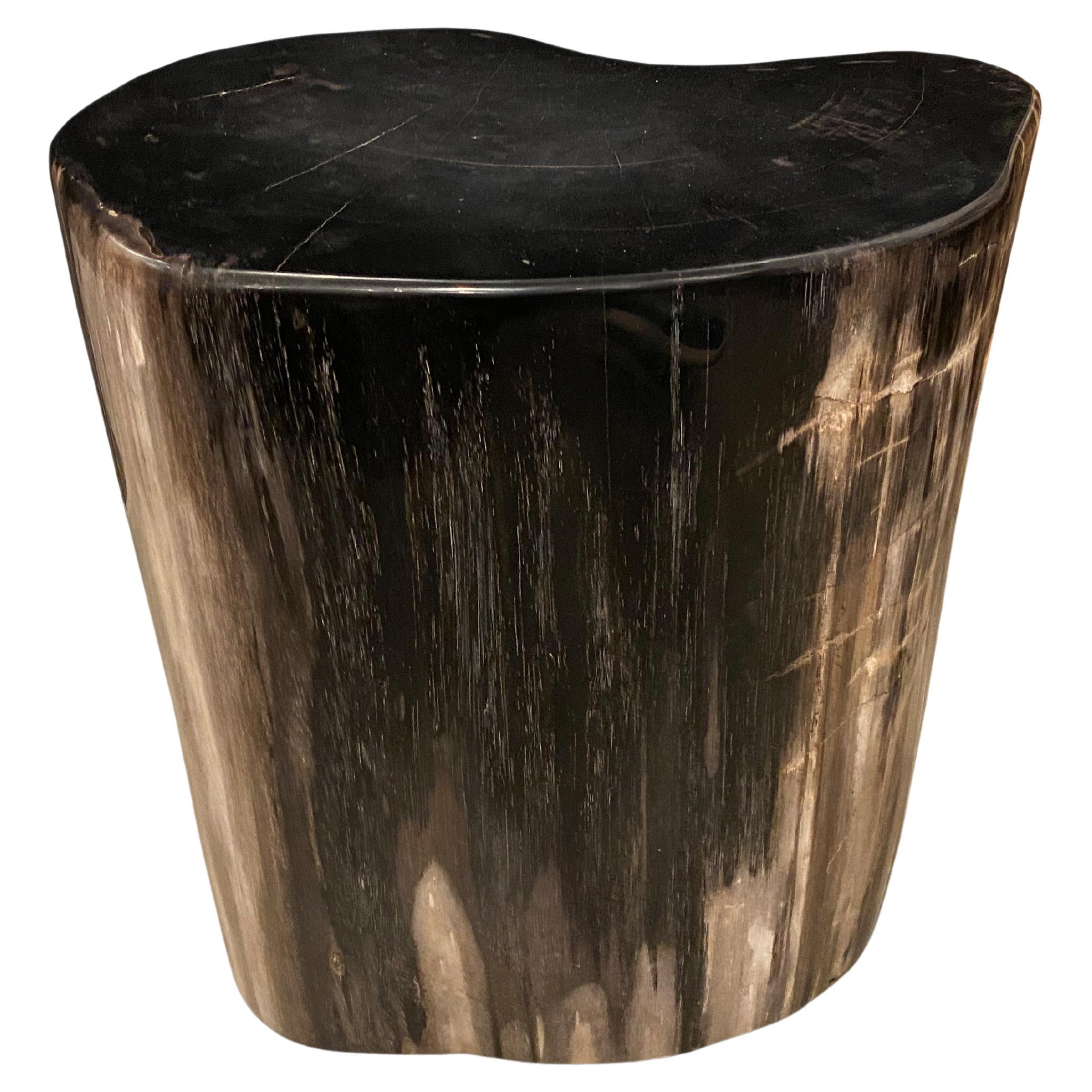 Andrianna Shamaris Super Smooth High Quality Petrified Wood Side Table For Sale