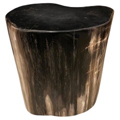 Andrianna Shamaris Super Smooth High Quality Petrified Wood Side Table
