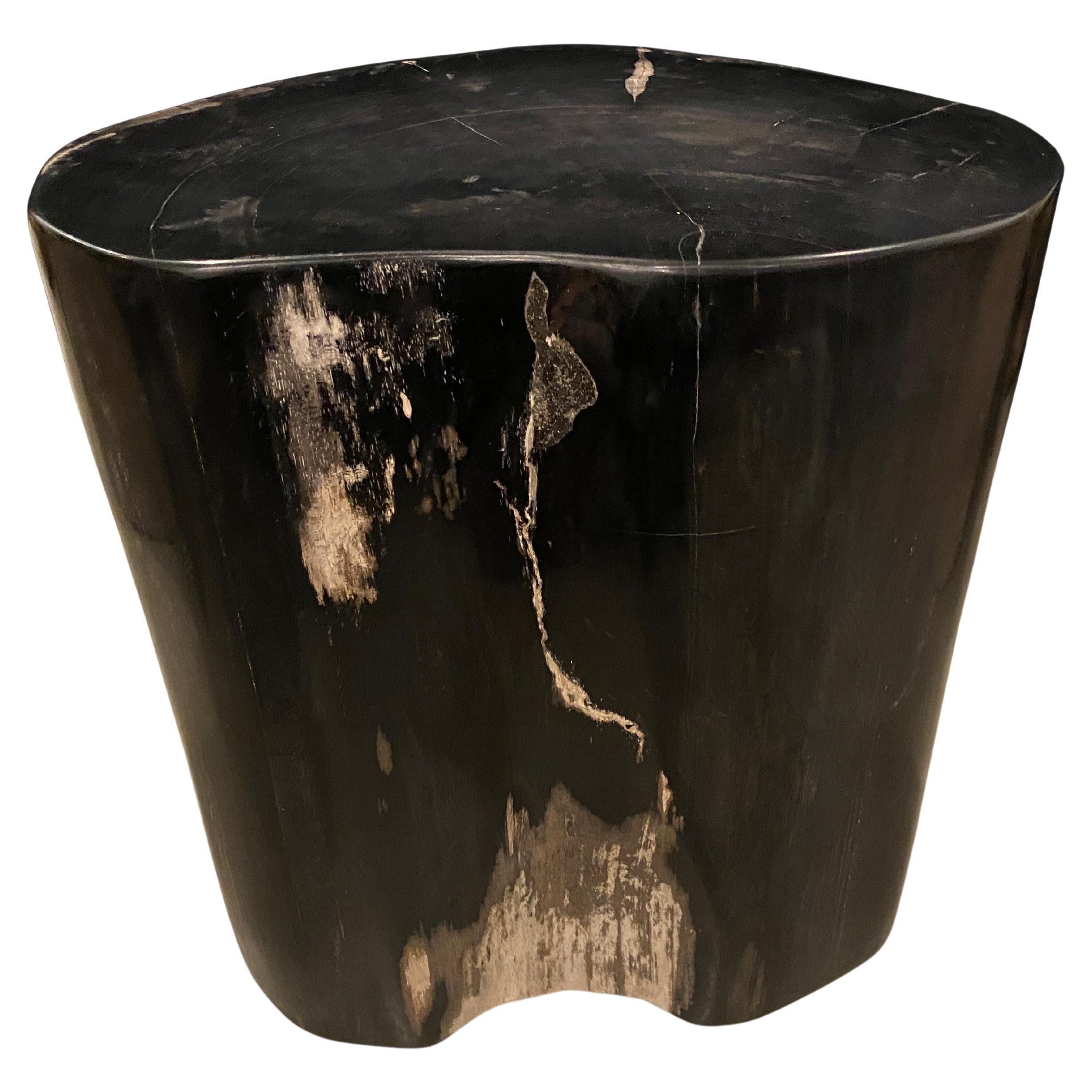 Andrianna Shamaris Super Smooth High Quality Petrified Wood Side Table