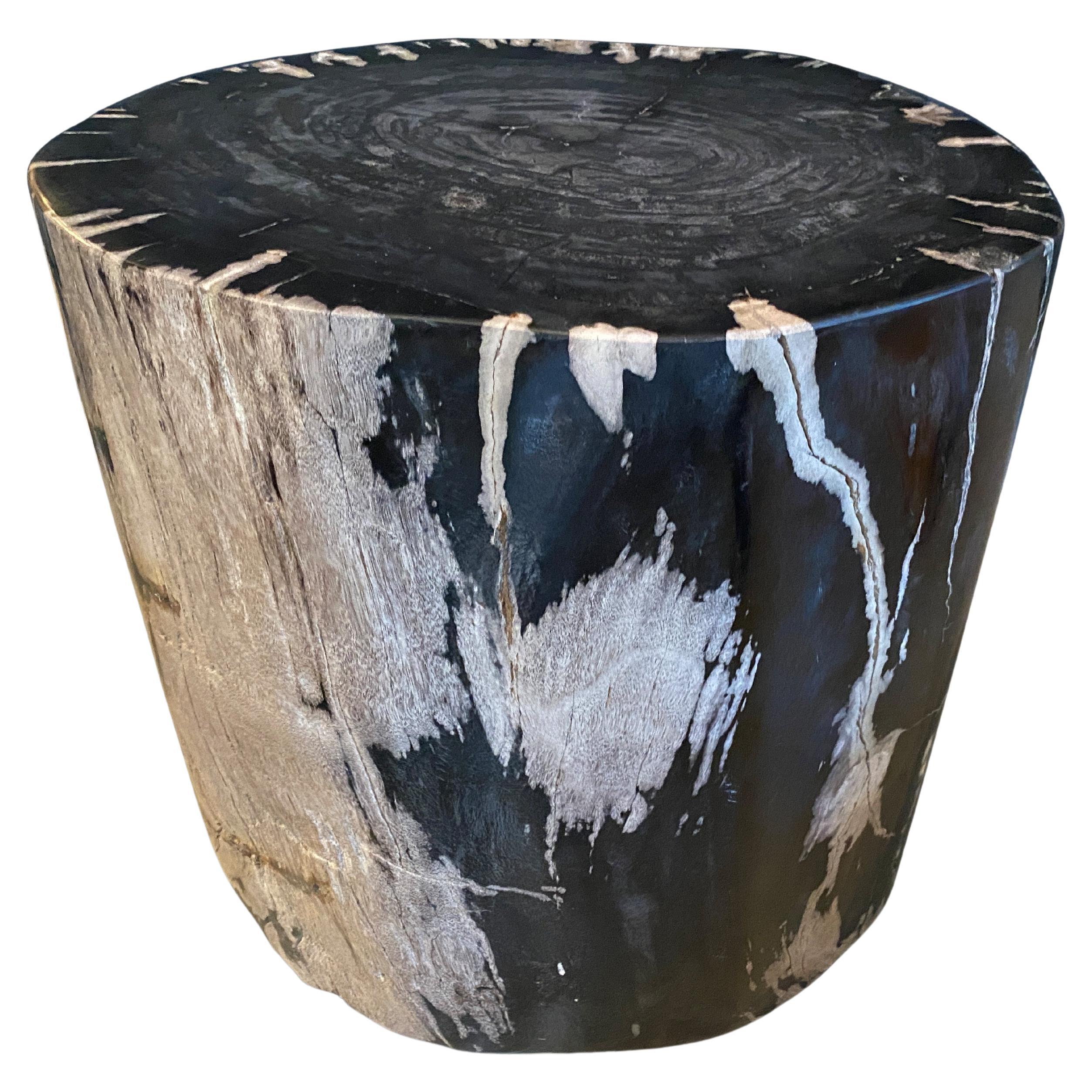 Andrianna Shamaris Super Smooth High Quality Petrified Wood Side Table