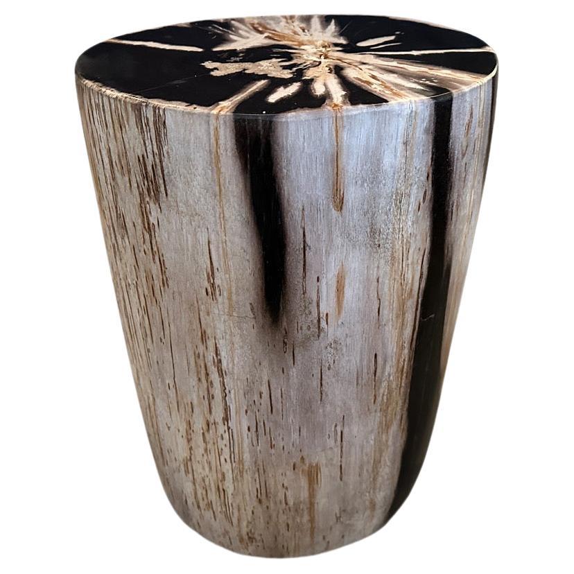 Andrianna Shamaris Super Smooth High Quality Petrified Wood Side Table