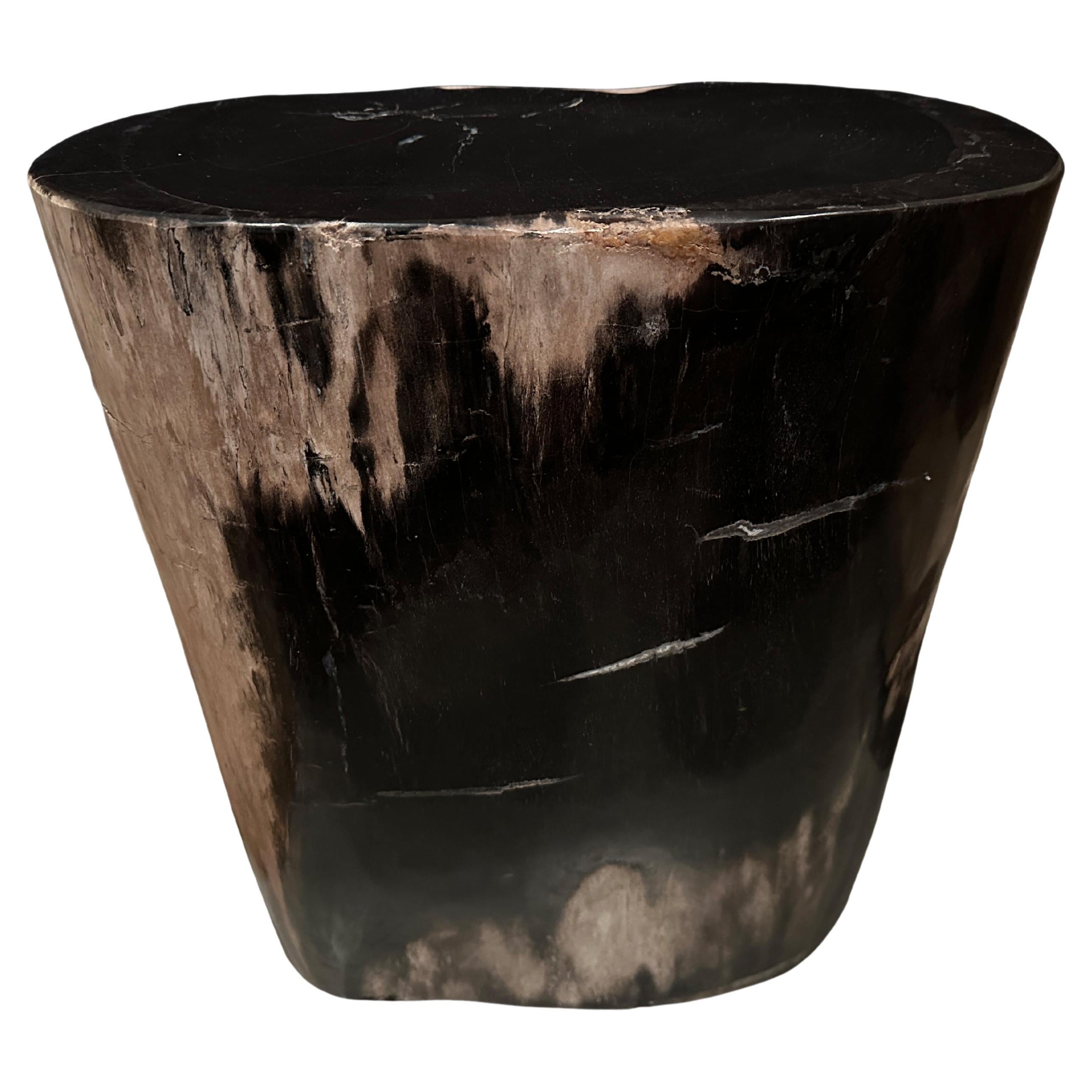 Andrianna Shamaris Super Smooth High Quality Petrified Wood Side Table