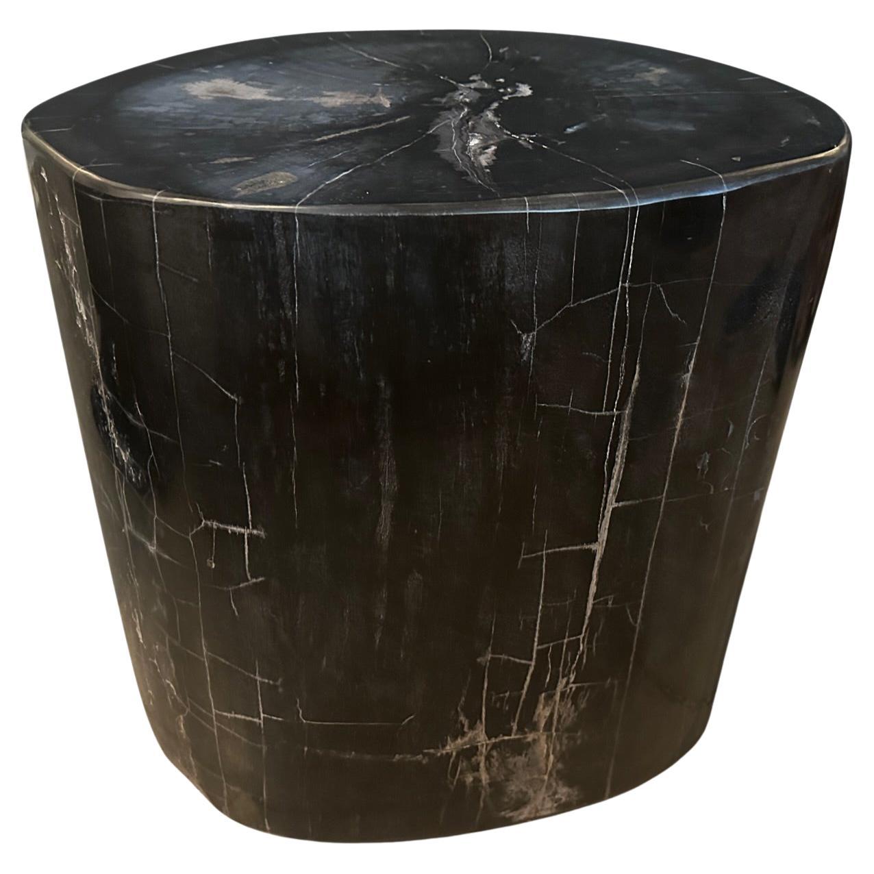 Andrianna Shamaris Super Smooth High Quality Petrified Wood Side Table For Sale