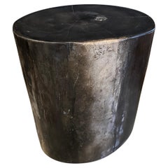 Andrianna Shamaris Super Smooth High Quality Petrified Wood Side Table 