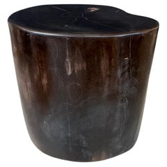 Andrianna Shamaris Super Smooth High Quality Petrified Wood Side Table Andrianna Shamaris Super Smooth High Quality Petrified Wood Side Table