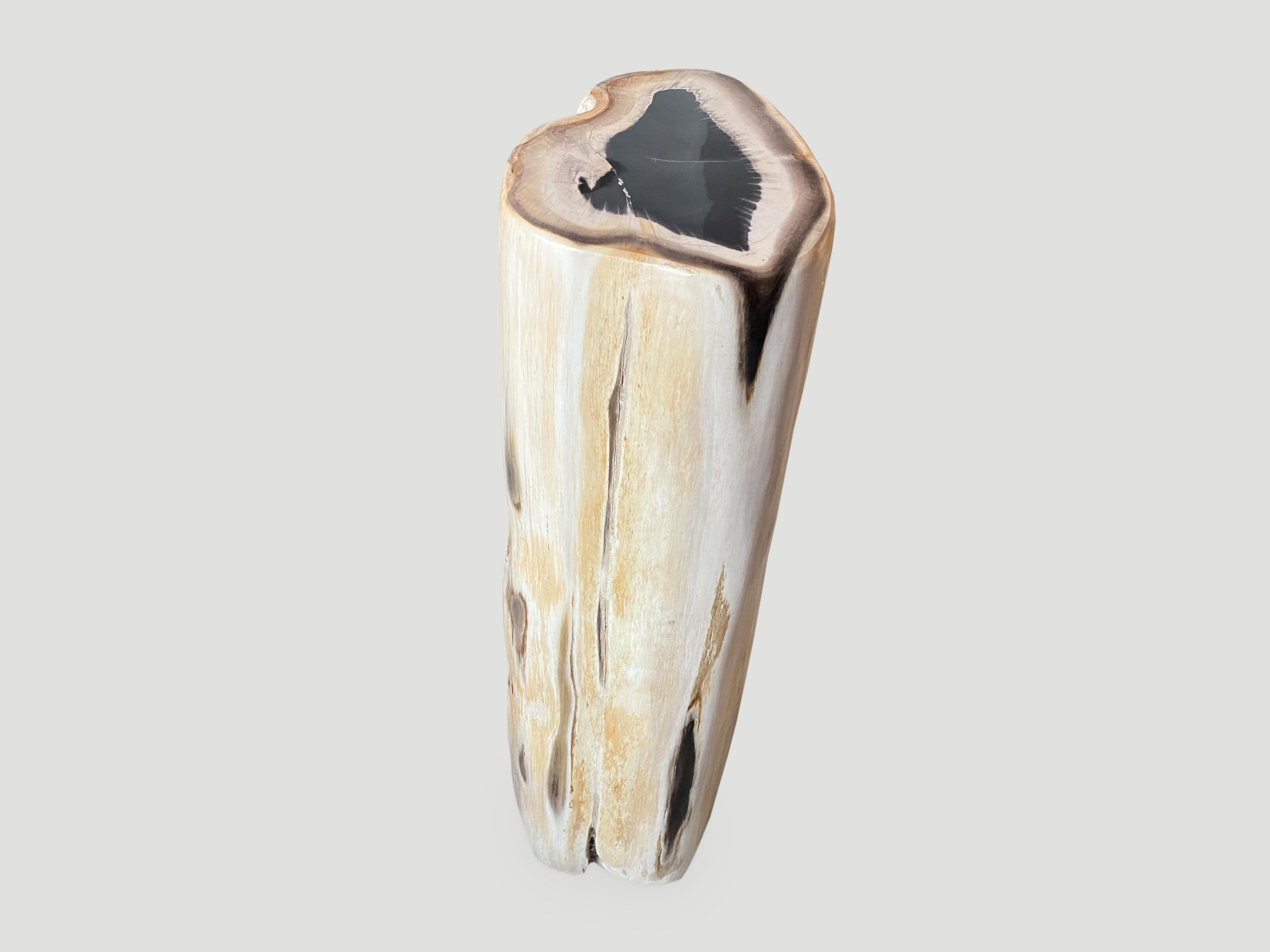 Exquisite, super smooth, rare petrified wood pedestal or side table. We have a collection of three cut from the same log with stunning contrasting tones. The price, images and size represents the one shown.

As with a diamond, we polish the