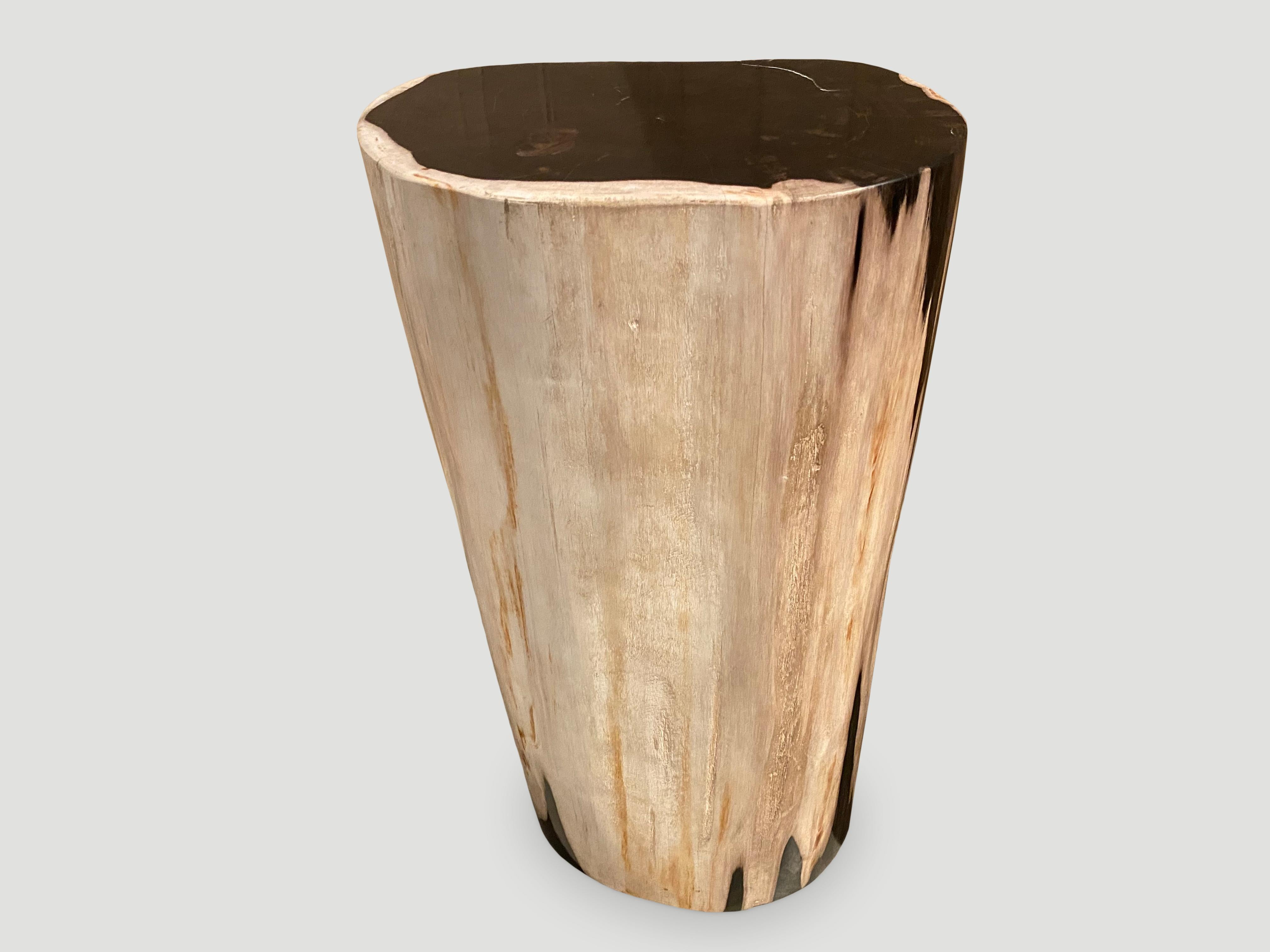 Cette impressionnante table d'appoint ou piédestal en bois pétrifié présente un marquage naturel époustouflant et des tons contrastés audacieux. Tout en douceur.

Il est fascinant de voir comment Mère Nature produit ces étonnants troncs de teck