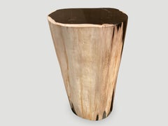 Andrianna Shamaris Pedestal de mesa auxiliar de madera petrificada de alta calidad super lisa