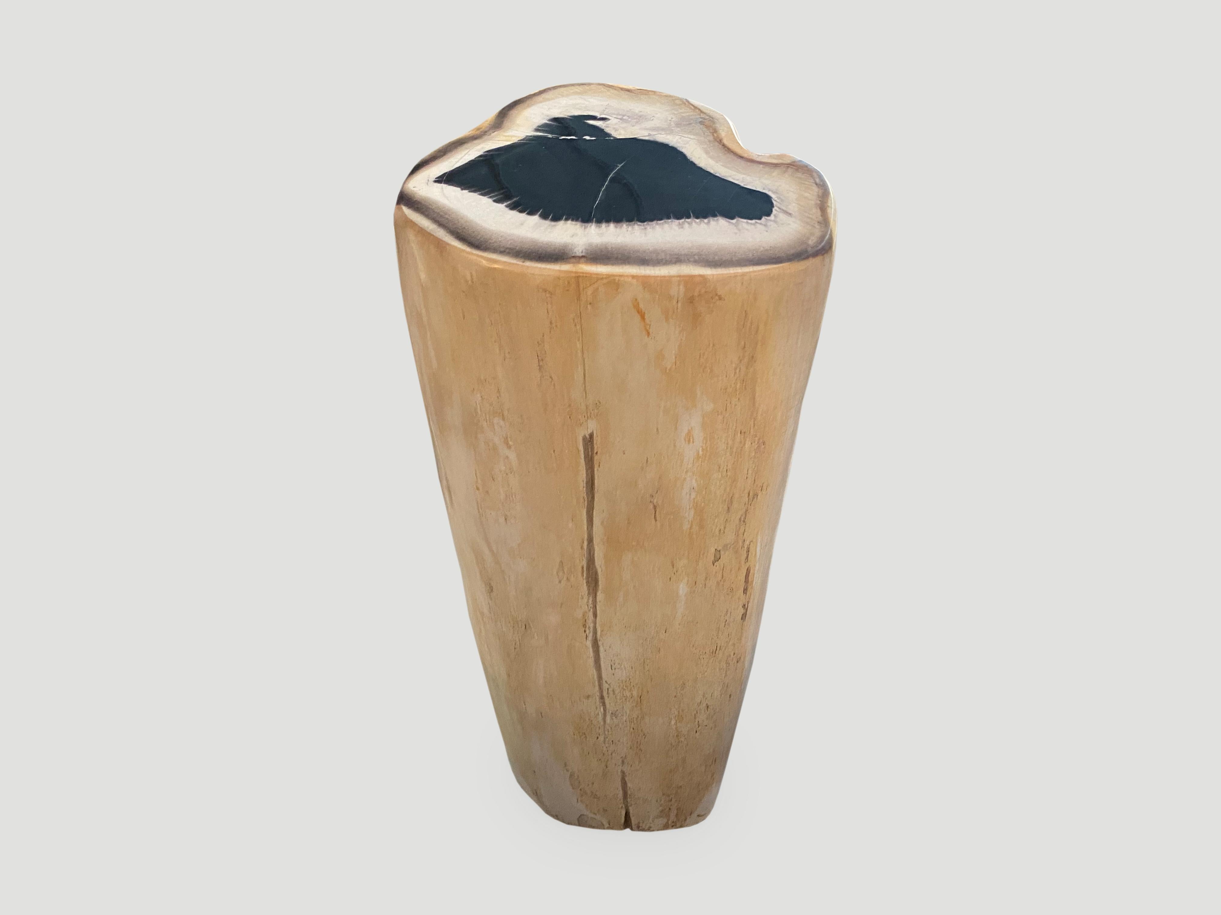 Organic Modern Andrianna Shamaris Super Smooth High Quality Petrified Wood Side Table/Pedestal