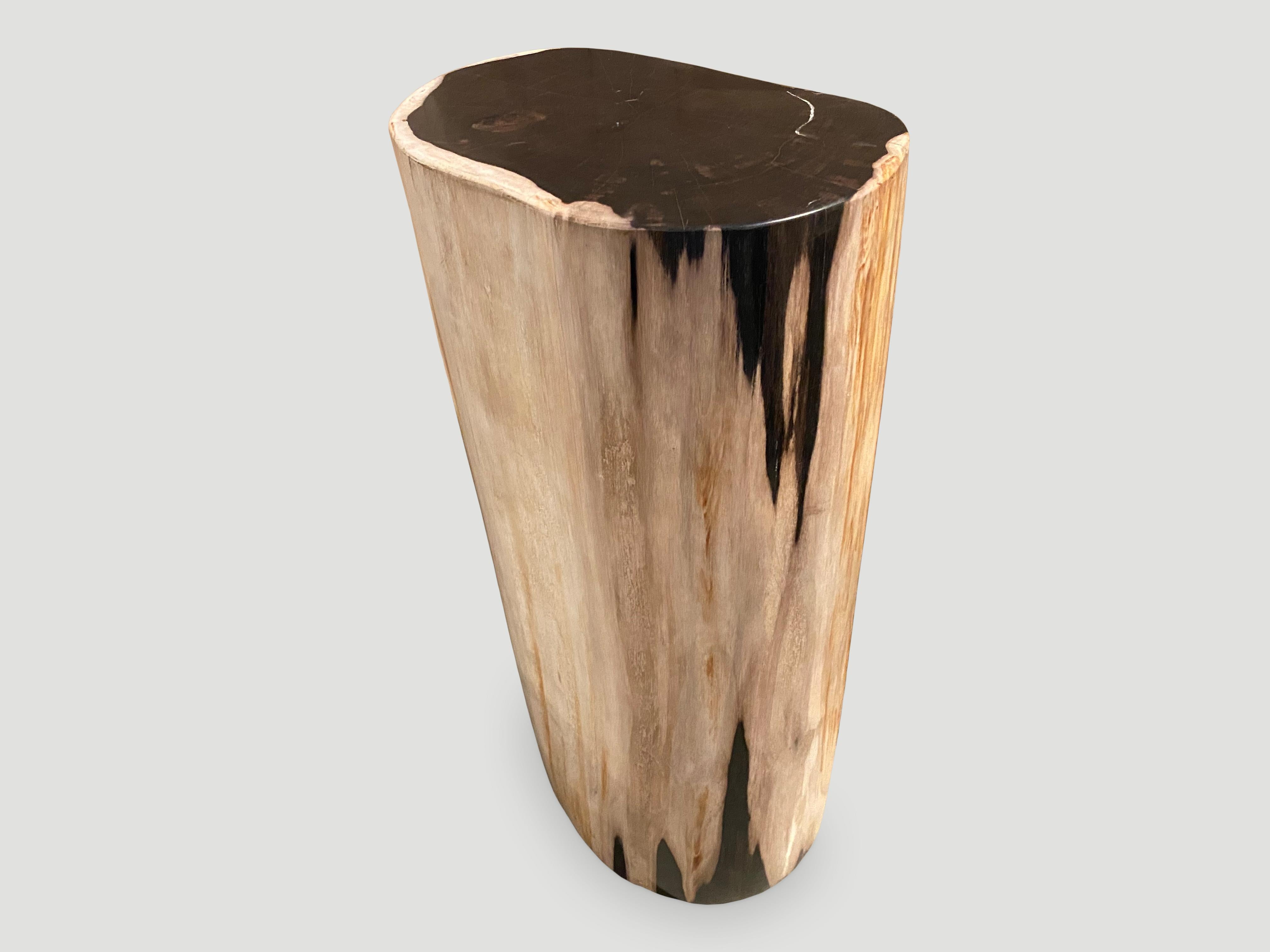 Organique Piédestal de table d'appoint Andrianna Shamaris en bois pétrifié de haute qualité, très lisse en vente
