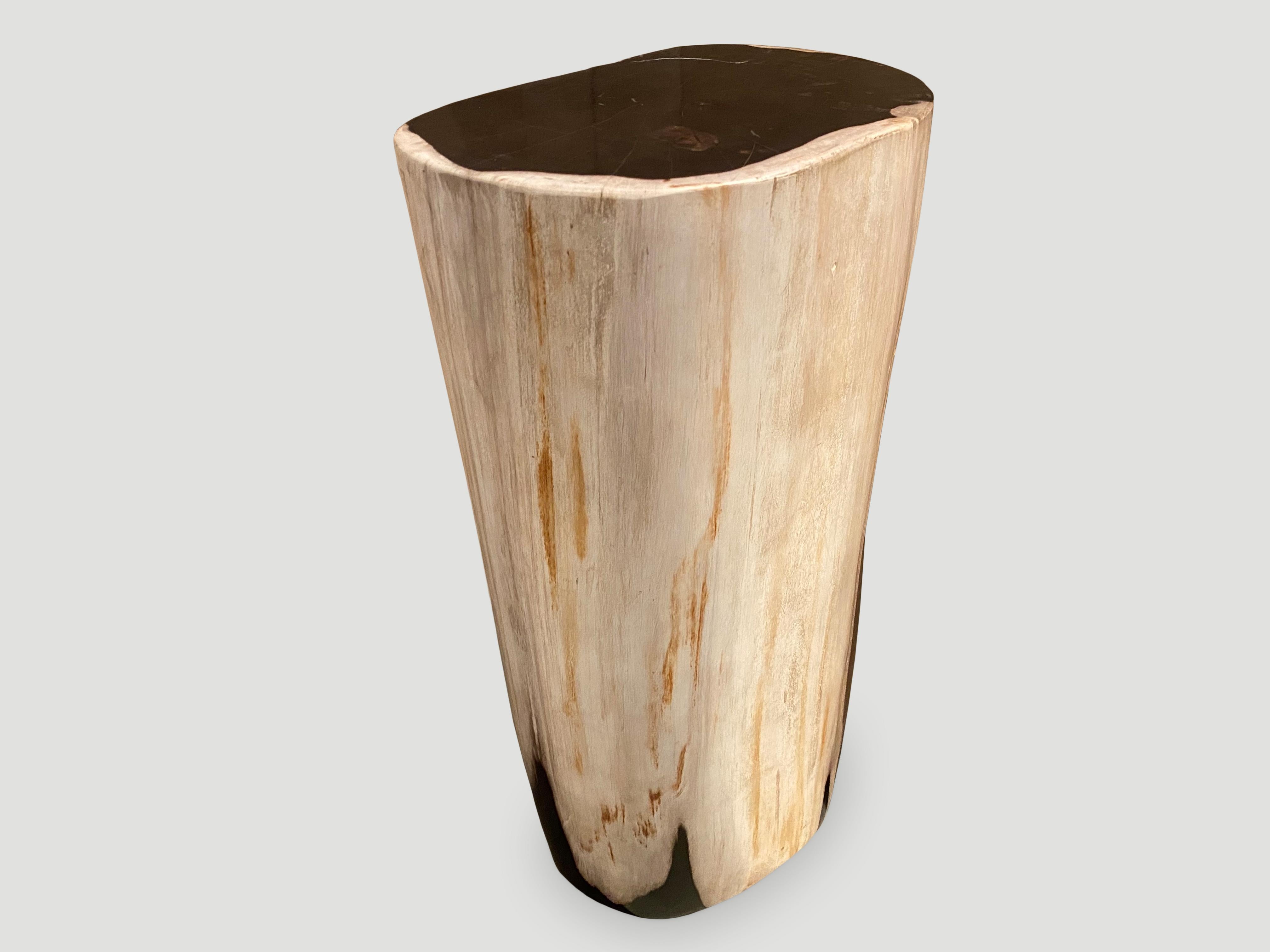 Piédestal de table d'appoint Andrianna Shamaris en bois pétrifié de haute qualité, très lisse Excellent état - En vente à New York, NY