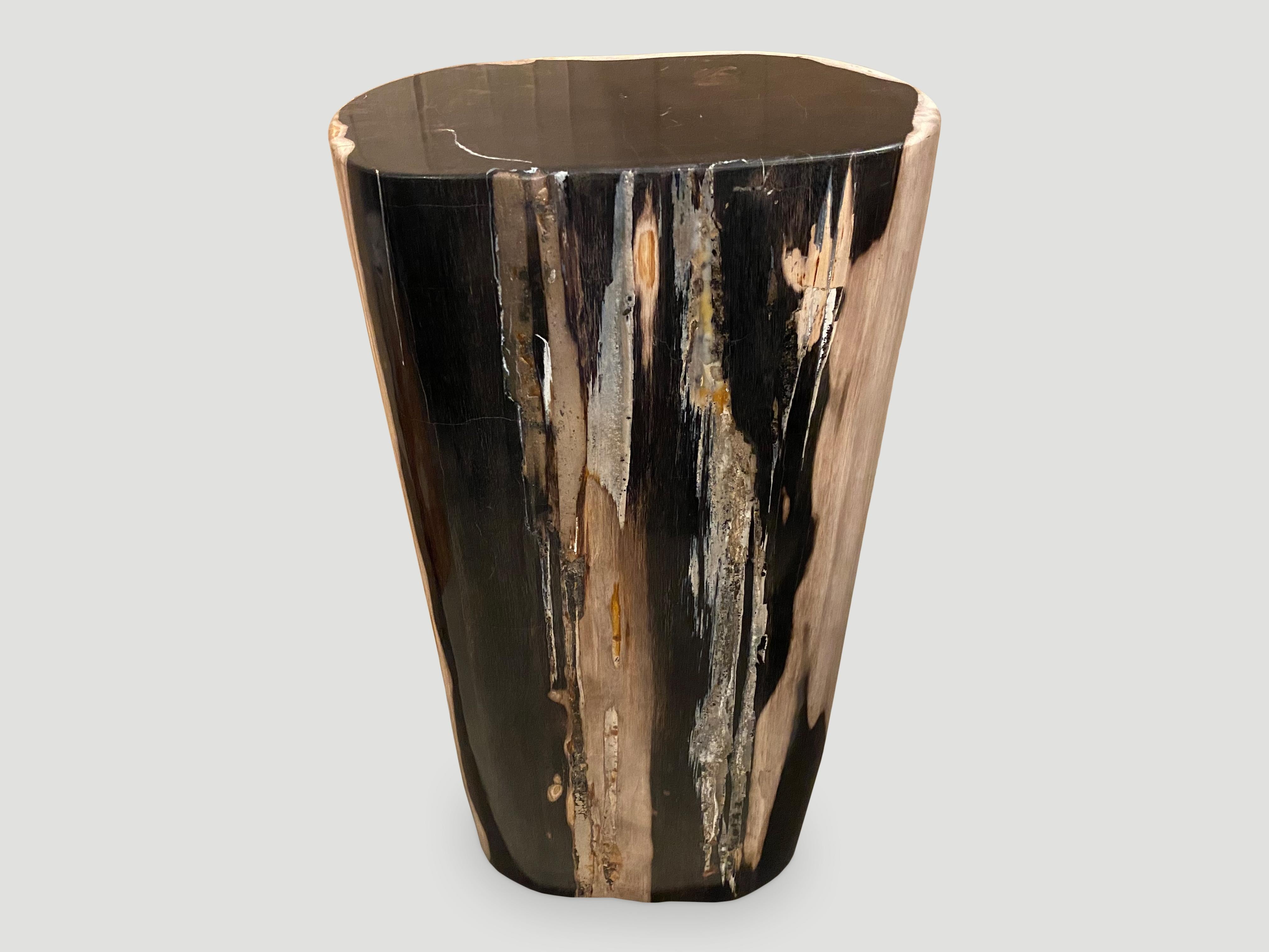 XXIe siècle et contemporain Piédestal de table d'appoint Andrianna Shamaris en bois pétrifié de haute qualité, très lisse en vente